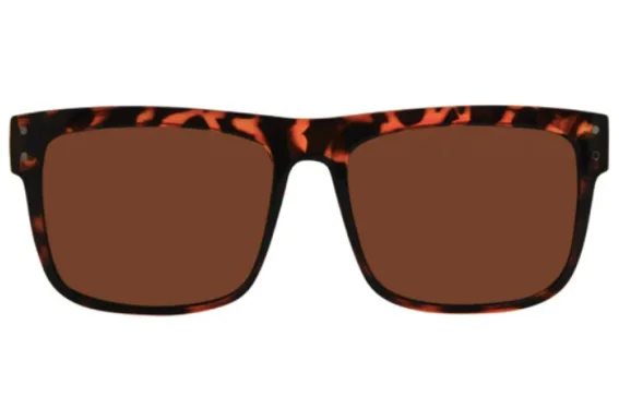 V Lander Sunglasses