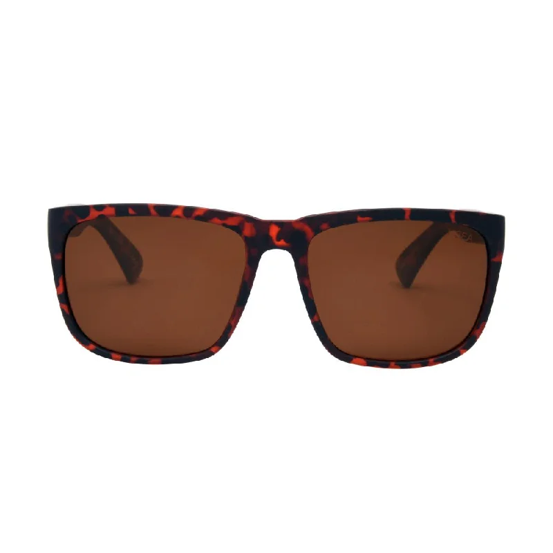 Tort/Brown Polarized